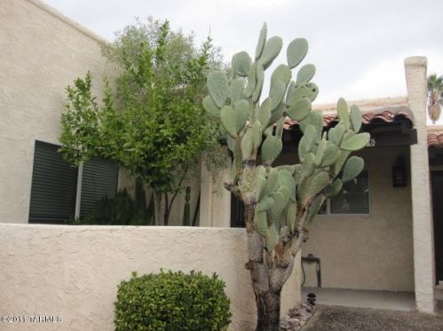 716 Orange Tree Pl, Tucson AZ  85704-3956 exterior