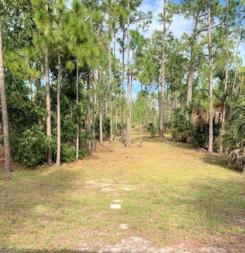 2461 22 Ave, Naples FL 34120-5506 exterior