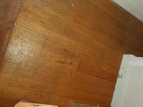 10 Idlewild Dr, Poughkeepsie NY 12601-6600 exterior