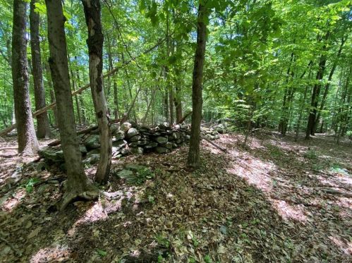 244 St, Roxbury CT 06783-1014 exterior