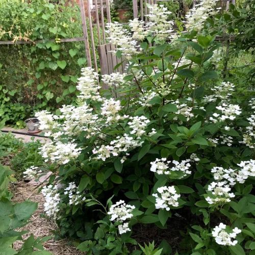 2127 10th St, Milwaukee, WI 53205-1310