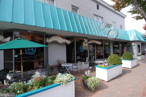 13 Chapman St, Alexandria VA 22301-2202 exterior