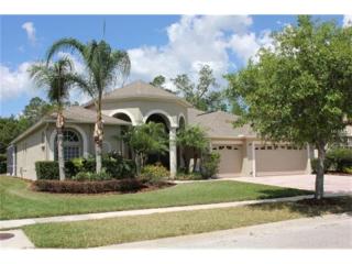 17362 Emerald Chase Dr, Tampa, FL 33647-3517