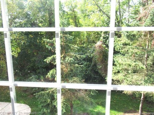 16815 Dover Dr, Northville MI  48168-6503 exterior