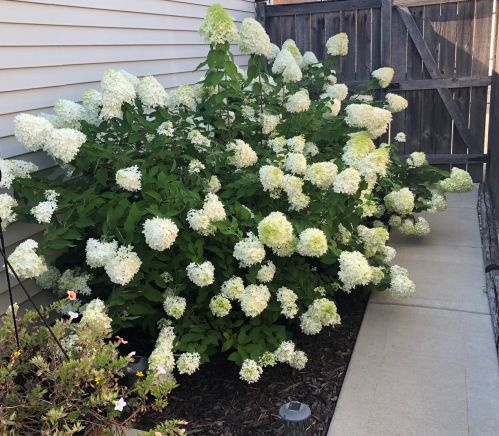 5250 Fletcher St, Chicago IL 60634-4006 exterior