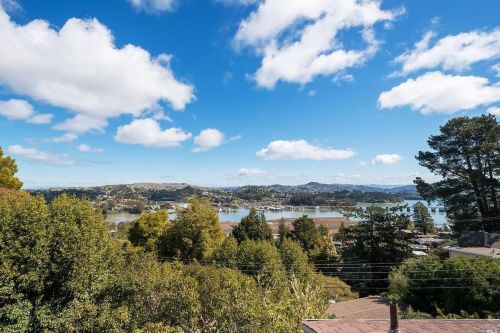 208 Princeton Ave, Mill Valley, CA 94941-3527