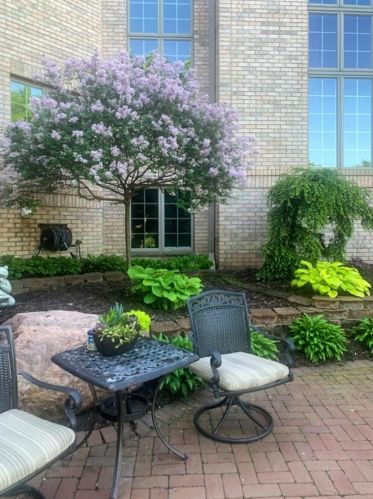 11020 Alameda Ave, South Saint Paul MN 55077-5439 exterior