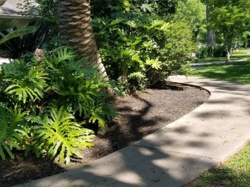 5202 Westerham St, Fulshear TX 77441-4037 exterior