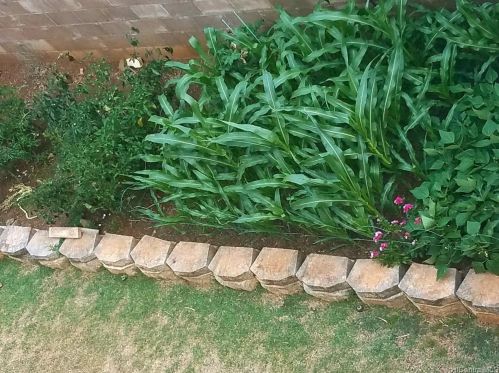 3230 Ala Ilima St, Honolulu HI  96818-2941 exterior