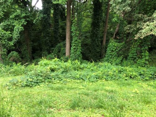 3191 Crestview Cir, Duluth GA 30096-2514 exterior