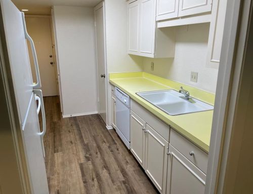 6026 Birchbrook Dr, Dallas, TX 75206-9100