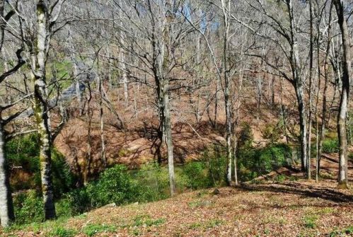 5565 Riverwalk Ct, Gainesville GA 30506-2987 exterior