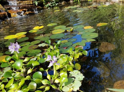 1745 102 St, Chicago IL 60643-2027 exterior