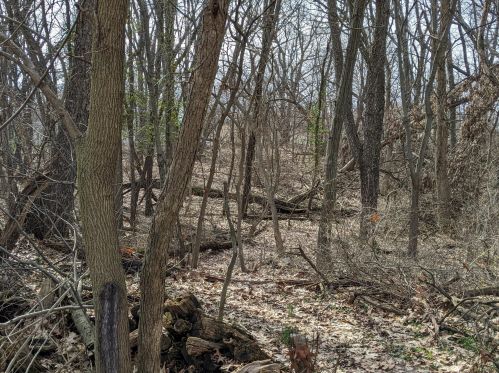 5536 Mount Vernon Ave, Kalamazoo MI  49024-1215 exterior