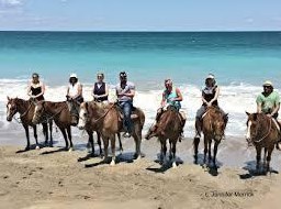 341 Springview Loop, Fort Pierce FL  34986-2664 exterior