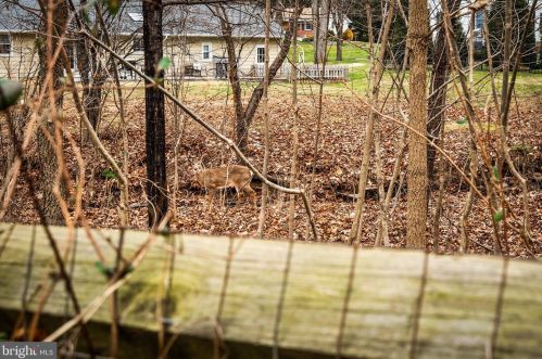 10 Frst Ln, Trenton NJ 08628-1603 exterior