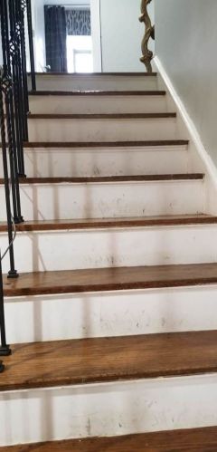 2003 18 Ave, Broadview IL 60155-3927 exterior