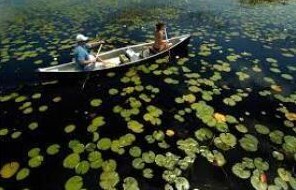 341 Springview Loop, Fort Pierce FL  34986-2664 exterior