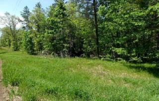 11177 Benson Rd, Stronach, MI 49660-9307