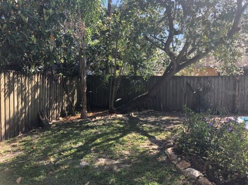 8005 Pne Hl Dr, Tampa FL 33617-7602 exterior