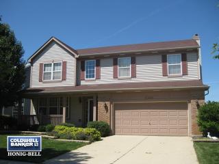 2390 Forsyth Ln, Aurora IL  60502-4459 exterior