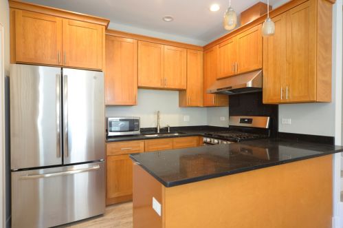 1119 Loomis St, Chicago IL  60607-4682 exterior