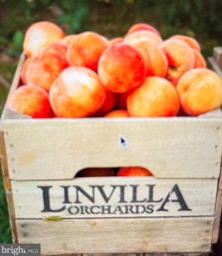 272 Old Middletown Rd, Media PA 19063-4832 exterior