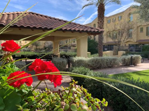 7084 Ivanhoe St, Chandler AZ 85226-0804 exterior