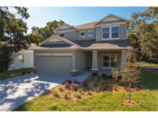 4315 Trask St, Tampa FL  33611-1152 exterior