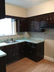 1237 Oakridge St, Pittsburgh PA  15226-2307 exterior