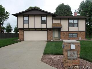 221 Blanc Lee Dr, Belleville, IL 62226-1526