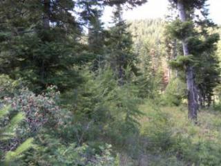 6772 Forest Ridge Dr, Wenatchee WA  98801-8804 exterior