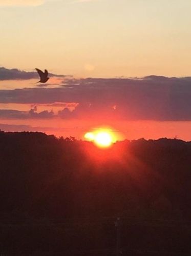 5142 Delford St, Pittsburgh, PA 15207-2302