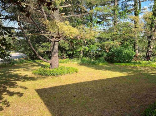 1465 Commerce Pines Dr, Walled Lake, MI 48390-1514