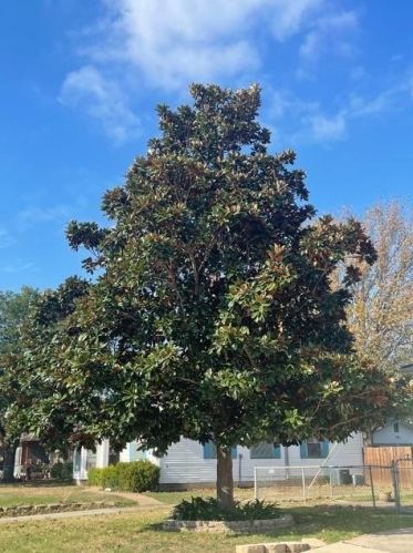 1105 Grauwyler Rd, Irving TX 75061-3411 exterior