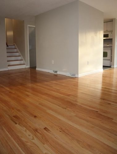 50 Tamarack Dr, Springfield MA 01129-1930 exterior