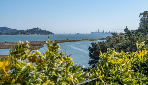 325 Strawberry Dr, Mill Valley CA 94941-2508 exterior