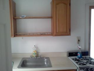 227 65th St, Brooklyn NY  11220-4817 exterior