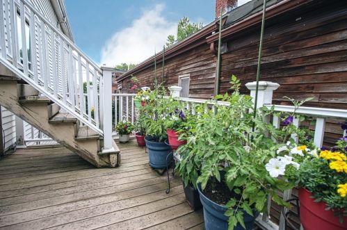 48 Princeton St, Boston MA exterior