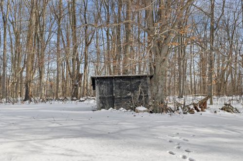 14200 160th Ave, Big Rapids MI  49307-9542 exterior