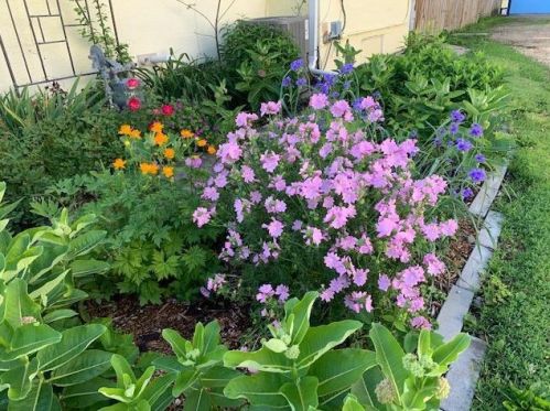 807 2 St, Waterford MN 55057-2308 exterior