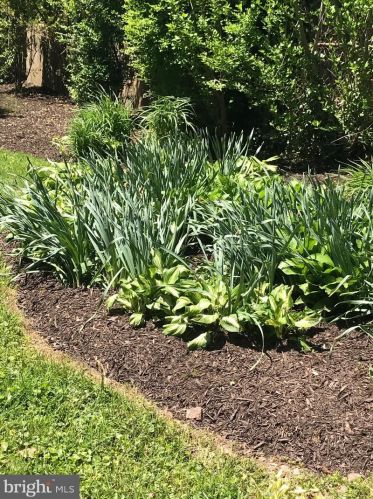 1815 Sherwood Rd, Silver Spring MD 20902-4030 exterior