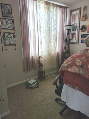 9326 Luella Ave, Chicago IL 60649-4108 exterior