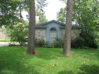 25118 Bovington Dr, Spring, TX 77389-3330