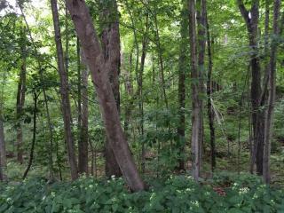 10 Iroquois Ln, Wilbraham MA  01095-2370 exterior