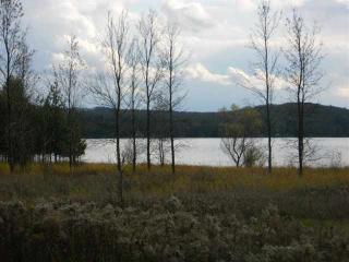 6790 Beach Dr, Alanson, MI 49706