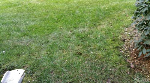 405 Porter Way, Bridgewater NJ 08807-3537 exterior