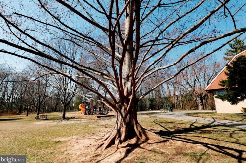 9609 Hastings Dr, Silver Spring MD 20901-3198 exterior