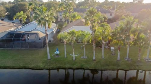 10207 Oasis Palm Dr, Tampa FL 33615-2782 exterior