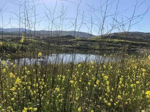 10723 Plumas Way, Tustin CA  92782-4305 exterior